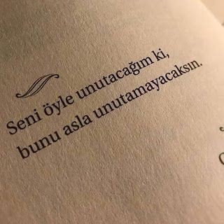 Aşk hakkında bir kitap yazsaydın, son cümlesi ne olurdu?
