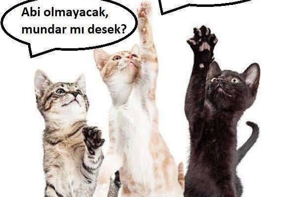 Uzanamadığına mundar demek ego mudur, acizlik midir?
