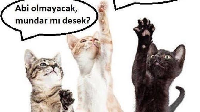 Uzanamadığına mundar demek ego mudur, acizlik midir?