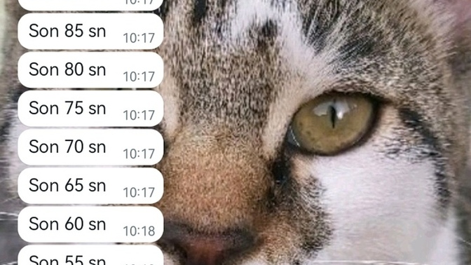 Erkeklerin tribi neden komik oluyor?
