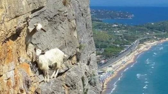 Keçileri kaçırdığınız anlar oluyor mu?