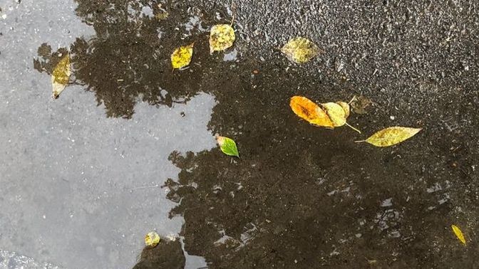Duygusal mısın, duygusuz mu?