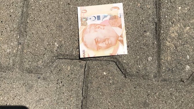 Yerde 50 lira görseniz alır mısınız?