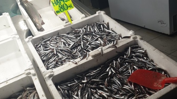 Balık mevsimi geldi mi?