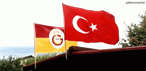 Sitede hangi takımın taraftarı çoğunlukta?