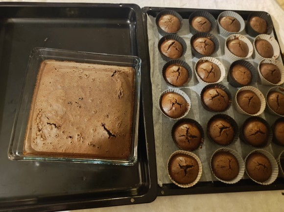 Kek ve cupcake yaptım, sizce nasıl olmuş?