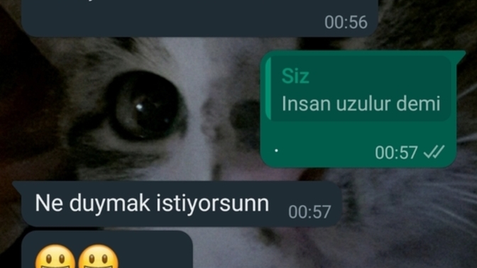 Mesajlarin dk larina da dikkat ederek okur musunuz, haksiz miyim?