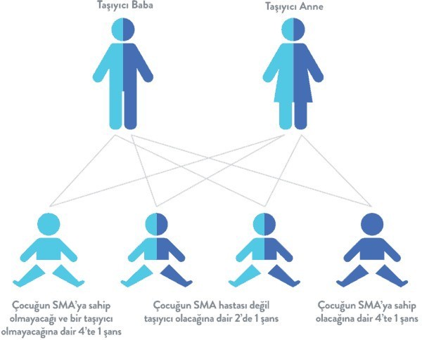 Evlenmeden çift olarak SMA testi yaptıracak mısınız?