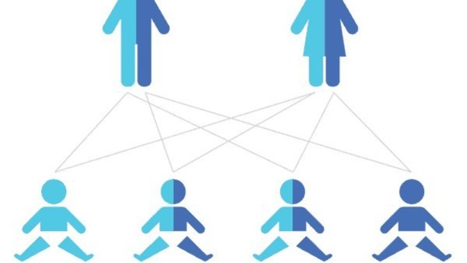 Evlenmeden çift olarak SMA testi yaptıracak mısınız?