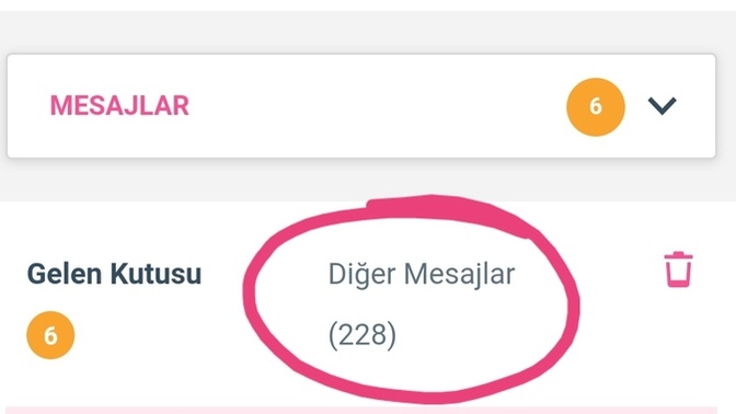 Neden bu kadar mesaj istegi var?