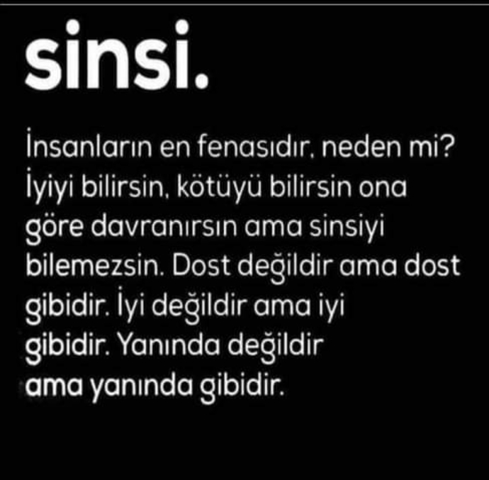 Size göre sinsi kimlere denir?