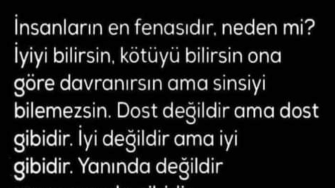 Size göre sinsi kimlere denir?