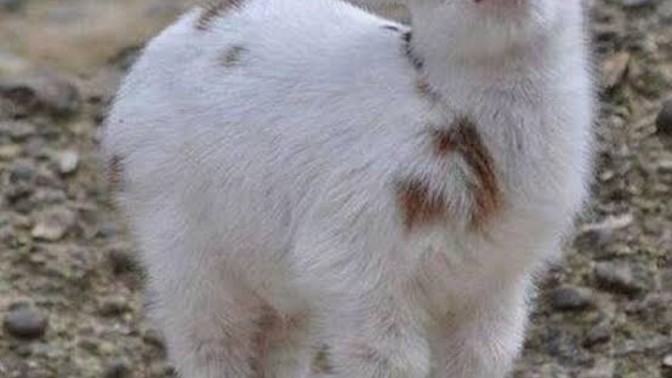Durduk yere ortamı gerip "yazma" diyen sevgiliye tepkiniz ne olur?