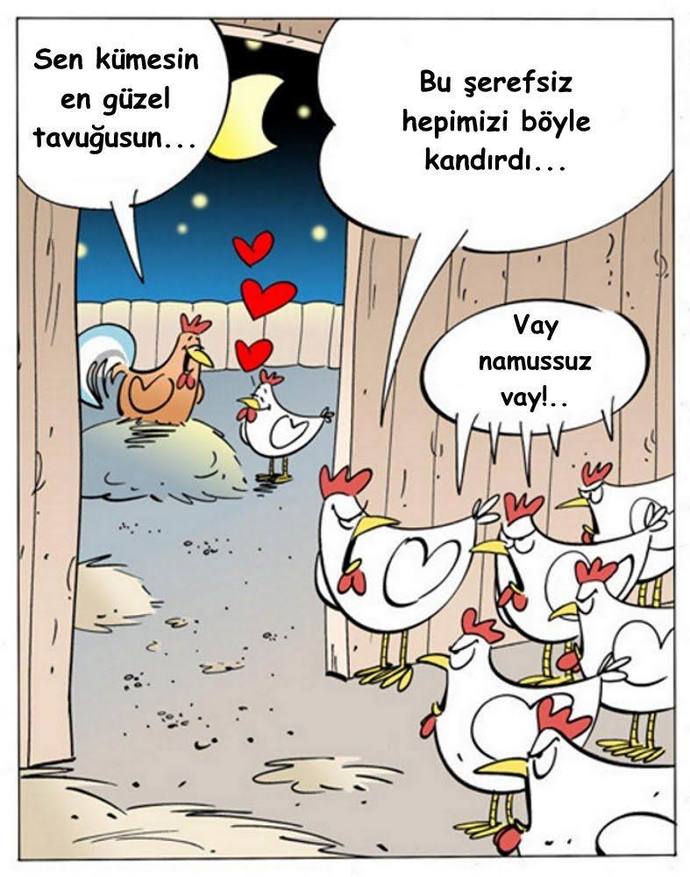 Horozun bile ikinci beşinci onuncu planı var 😁😂