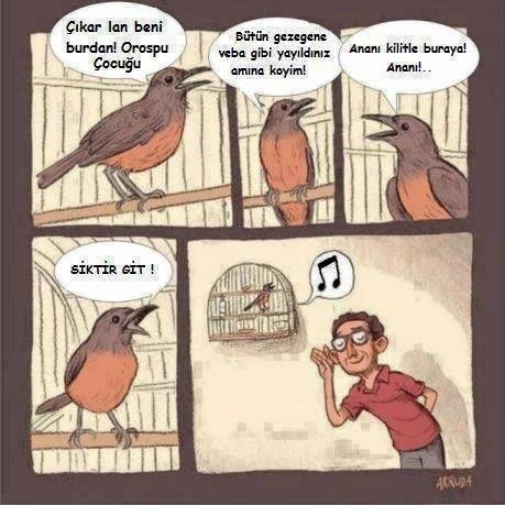 Ciiikkkk Ciiiikkkkkk