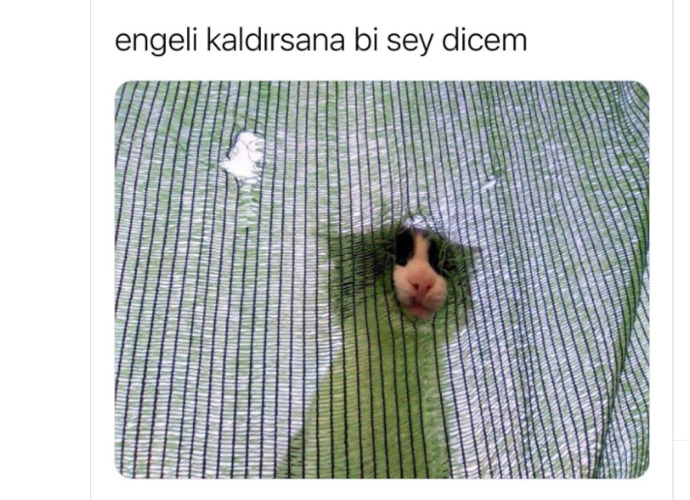 Engel listenizi temizliyor musunuz?