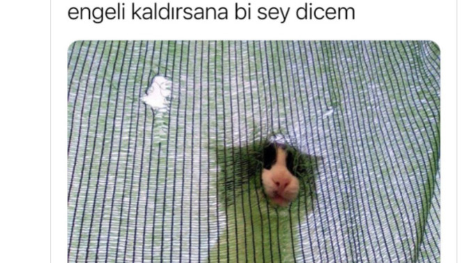 Engel listenizi temizliyor musunuz?