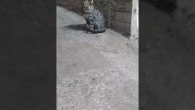 Sizi mutlu etmek kolay mi?