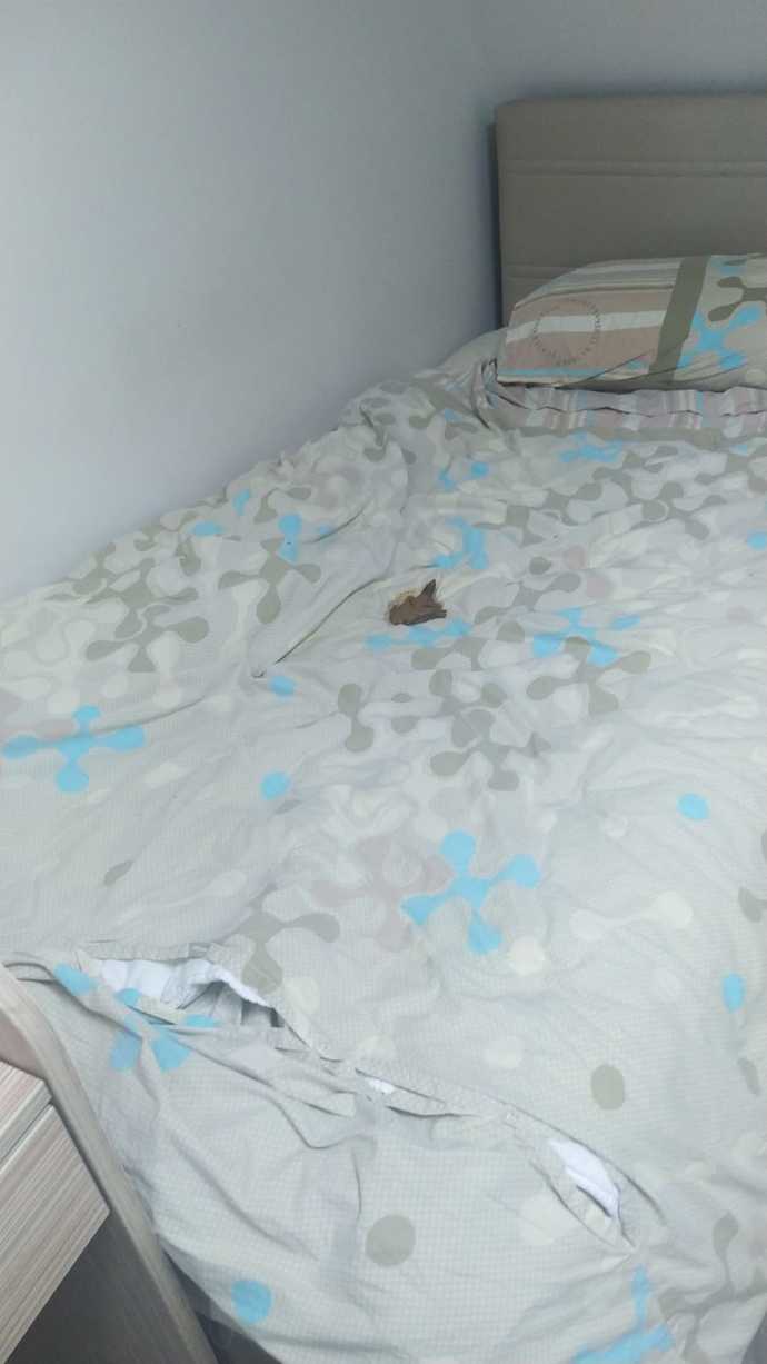 14 kişilik KYK odam nasıl?