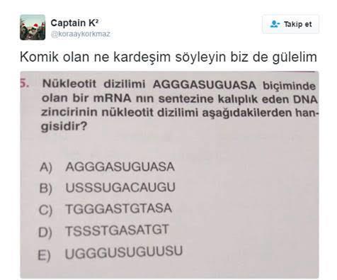:d