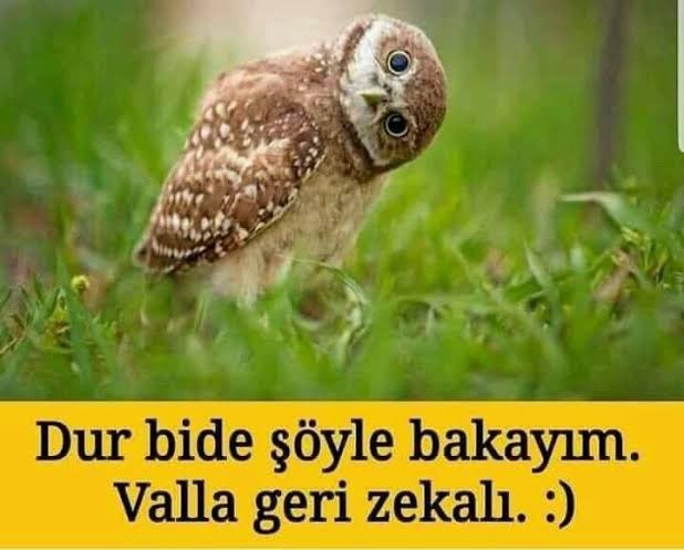 Eşim bazen yetmiyor, ne yapmalıyım?