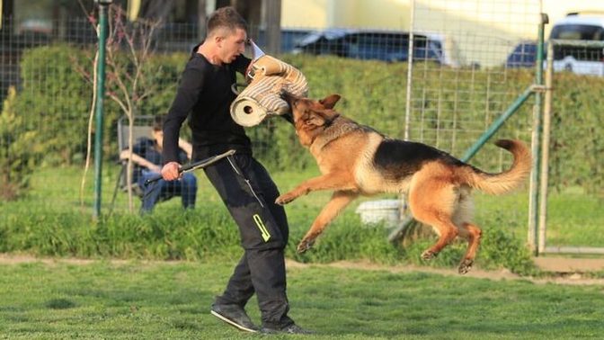 Hangi meslek beni aç bırakmaz?