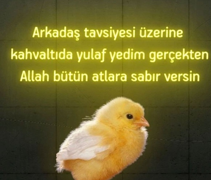 Arkadaşlarınızın tavsiyelerini dinler misiniz😄?