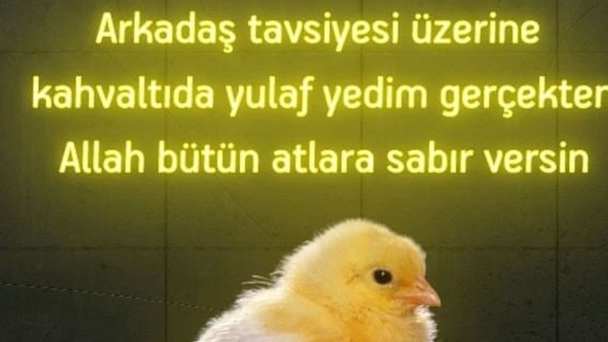 Arkadaşlarınızın tavsiyelerini dinler misiniz😄?