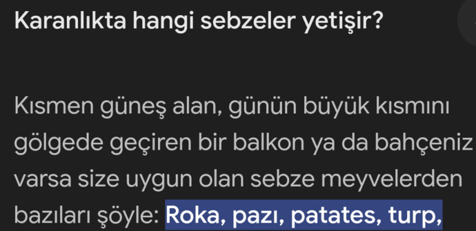 Asla yemem dediğiniz bir sebze var mı?