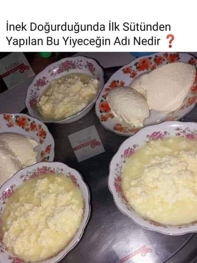 İnek doğurduğunda ilk sütünden yapılan bu yiyeceğin adı nedir?