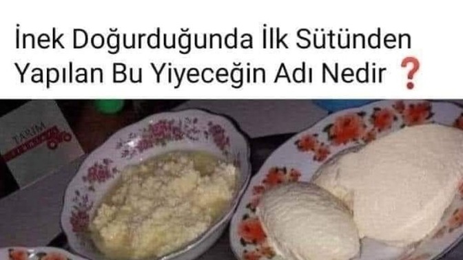 İnek doğurduğunda ilk sütünden yapılan bu yiyeceğin adı nedir?