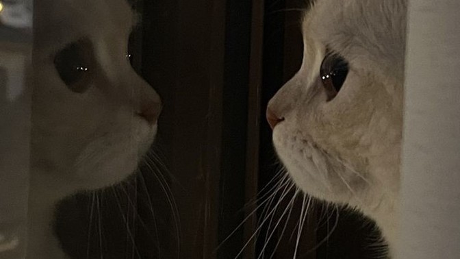 Büyüdükçe size zor gelen şey ne?