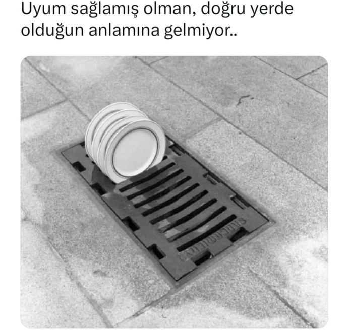 Bu görsel ne dusundurdu?