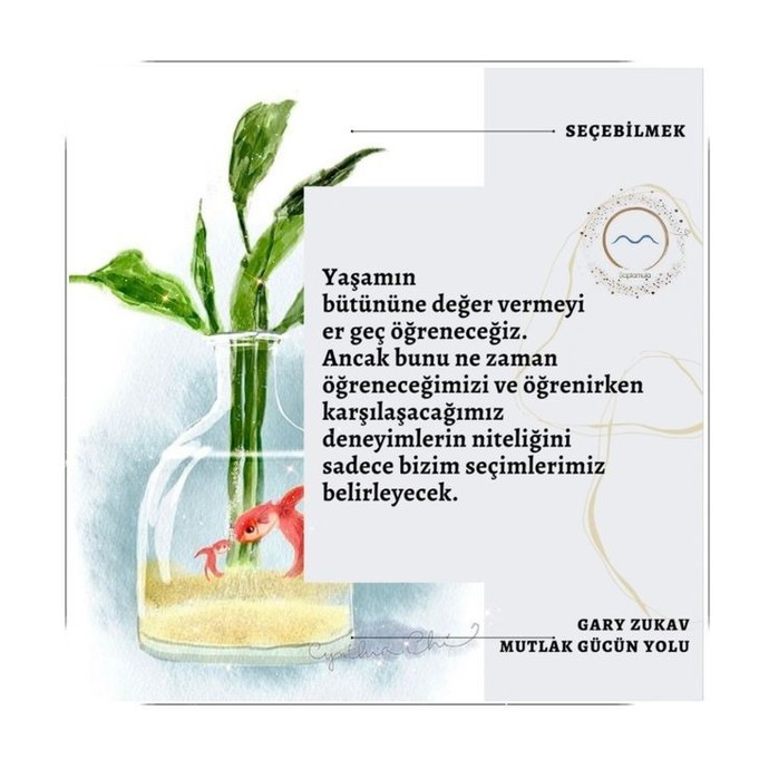 Benim seçimim dediğin şeylerin ne kadarı senin seçimin?