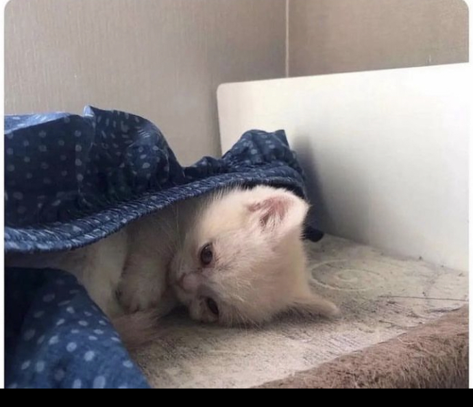Şu anki durumuzu anlatan görsel ne?
