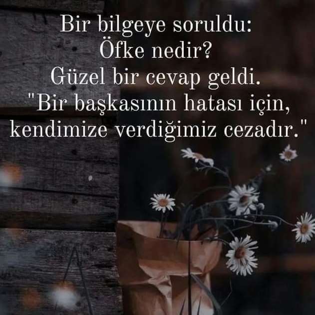 Size göre öfke nedir?