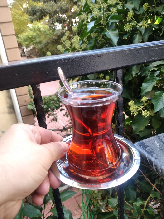 Hayatınız boyunca su dışında tek bir meşrubat içecek olsanız ne içerdiniz?
