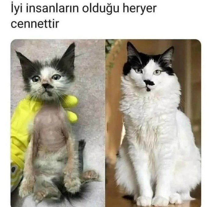 #nirhamm 🔴 🔴 🔴 🔴