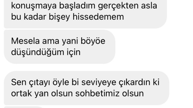 Bu mesajlarda ne demek istemiş?