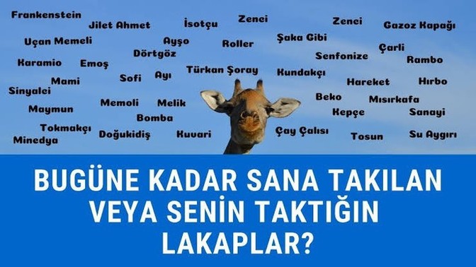 Bugüne kadar sana takılan veya senin taktığın lakaplar nelerdir?