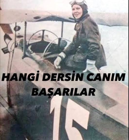 Atatürkün Dersim (Zilan) Katliamından haberi varmıydı? Neden böyle bir şey yaptılar?