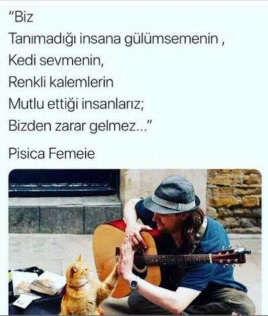 Telefonunuzda son attığınız mesaj nedir?
