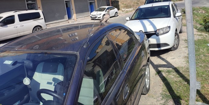 Kuşlar neden hep benim arabayı kirletiyor?