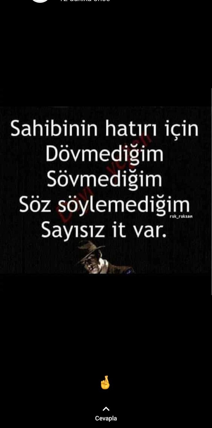 Bana acayip low profile geliyor hele bir de bunlar yaşını başını almış kişilerse..