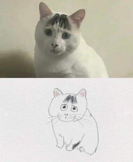Kedi çizimi mnasıl olmuş?