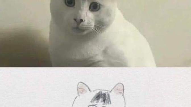 Kedi çizimi mnasıl olmuş?