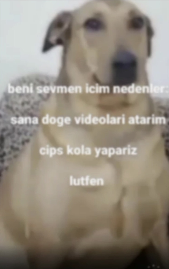 Sizi neden sevsinler?