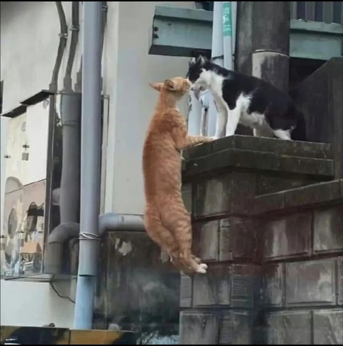 Esenlikler dilerim.