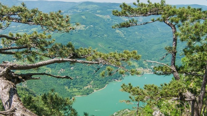 Hangi aktivite seni mutlu ediyor?