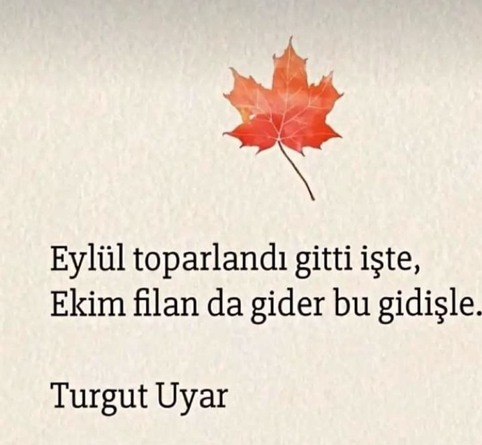 Kendine güvenir misin?